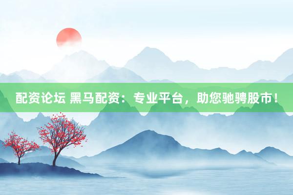 配资论坛 黑马配资：专业平台，助您驰骋股市！
