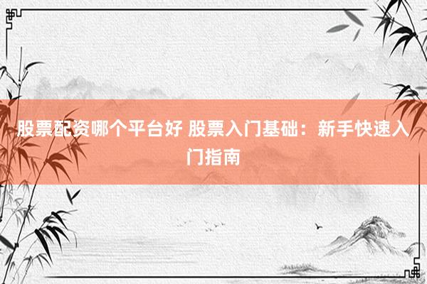 股票配资哪个平台好 股票入门基础：新手快速入门指南