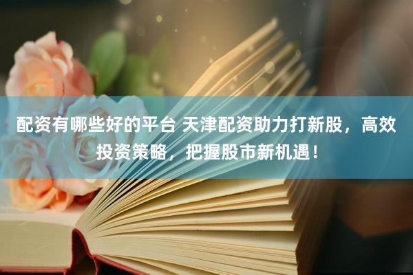 配资有哪些好的平台 天津配资助力打新股，高效投资策略，把握股市新机遇！