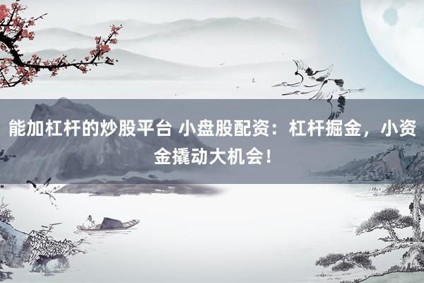 能加杠杆的炒股平台 小盘股配资：杠杆掘金，小资金撬动大机会！