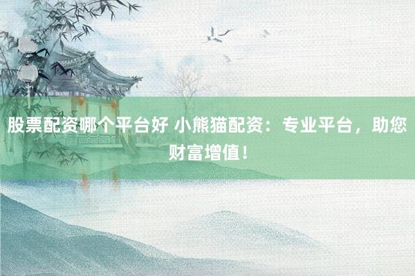 股票配资哪个平台好 小熊猫配资：专业平台，助您财富增值！