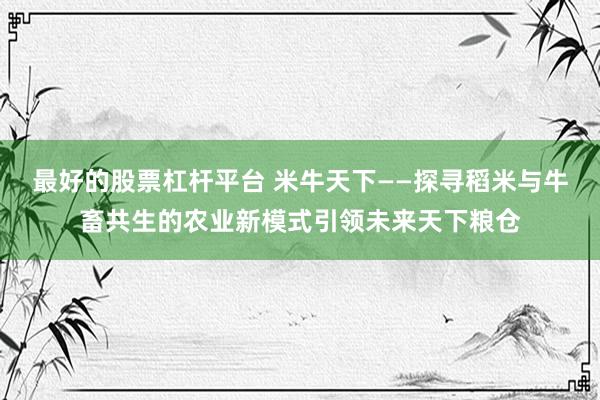 最好的股票杠杆平台 米牛天下——探寻稻米与牛畜共生的农业新模式引领未来天下粮仓