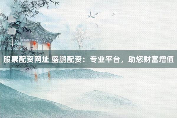 股票配资网址 盛鹏配资：专业平台，助您财富增值