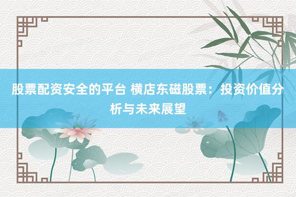 股票配资安全的平台 横店东磁股票：投资价值分析与未来展望