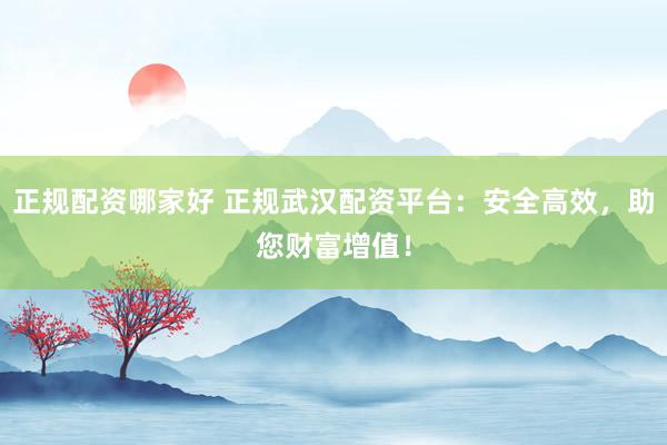 正规配资哪家好 正规武汉配资平台:安全高效,助您财富增值!