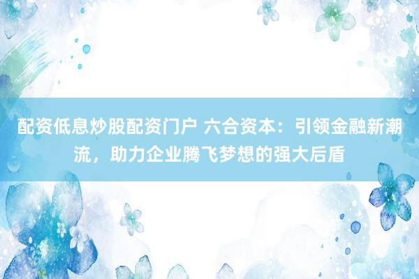 配资低息炒股配资门户 六合资本：引领金融新潮流，助力企业腾飞梦想的强大后盾