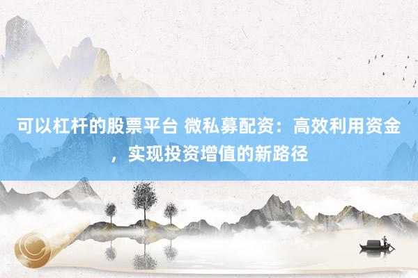 可以杠杆的股票平台 微私募配资：高效利用资金，实现投资增值的新路径