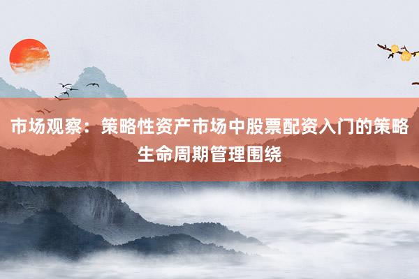 市场观察:策略性资产市场中股票配资入门的策略生命周期管理围绕