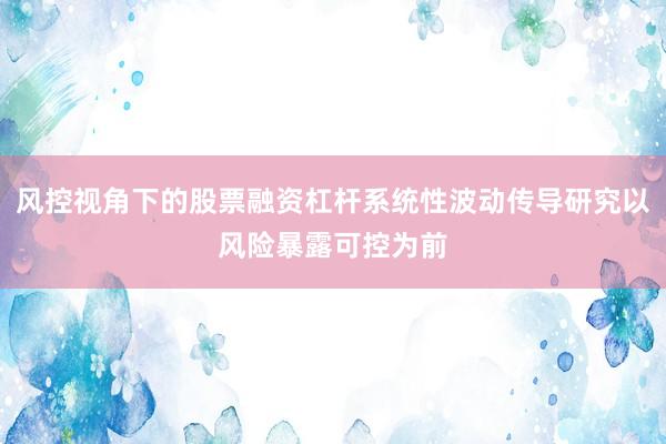 风控视角下的股票融资杠杆系统性波动传导研究以风险暴露可控为前