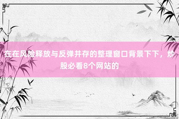 在在风险释放与反弹并存的整理窗口背景下下，炒股必看8个网站的