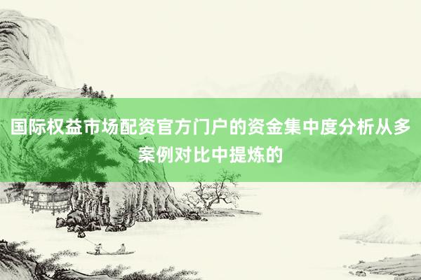 国际权益市场配资官方门户的资金集中度分析从多案例对比中提炼的