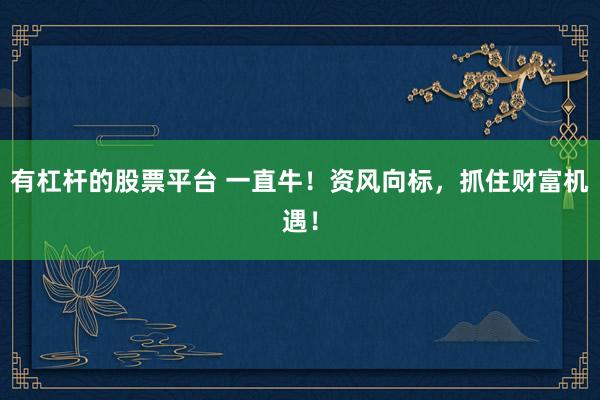 有杠杆的股票平台 一直牛！资风向标，抓住财富机遇！