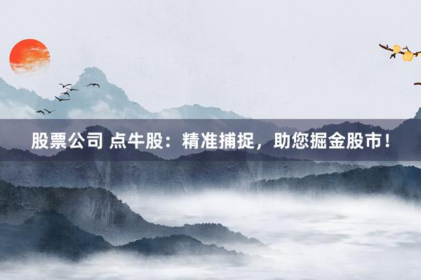 股票公司 点牛股：精准捕捉，助您掘金股市！