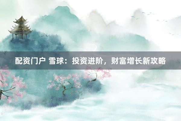 配资门户 雪球：投资进阶，财富增长新攻略